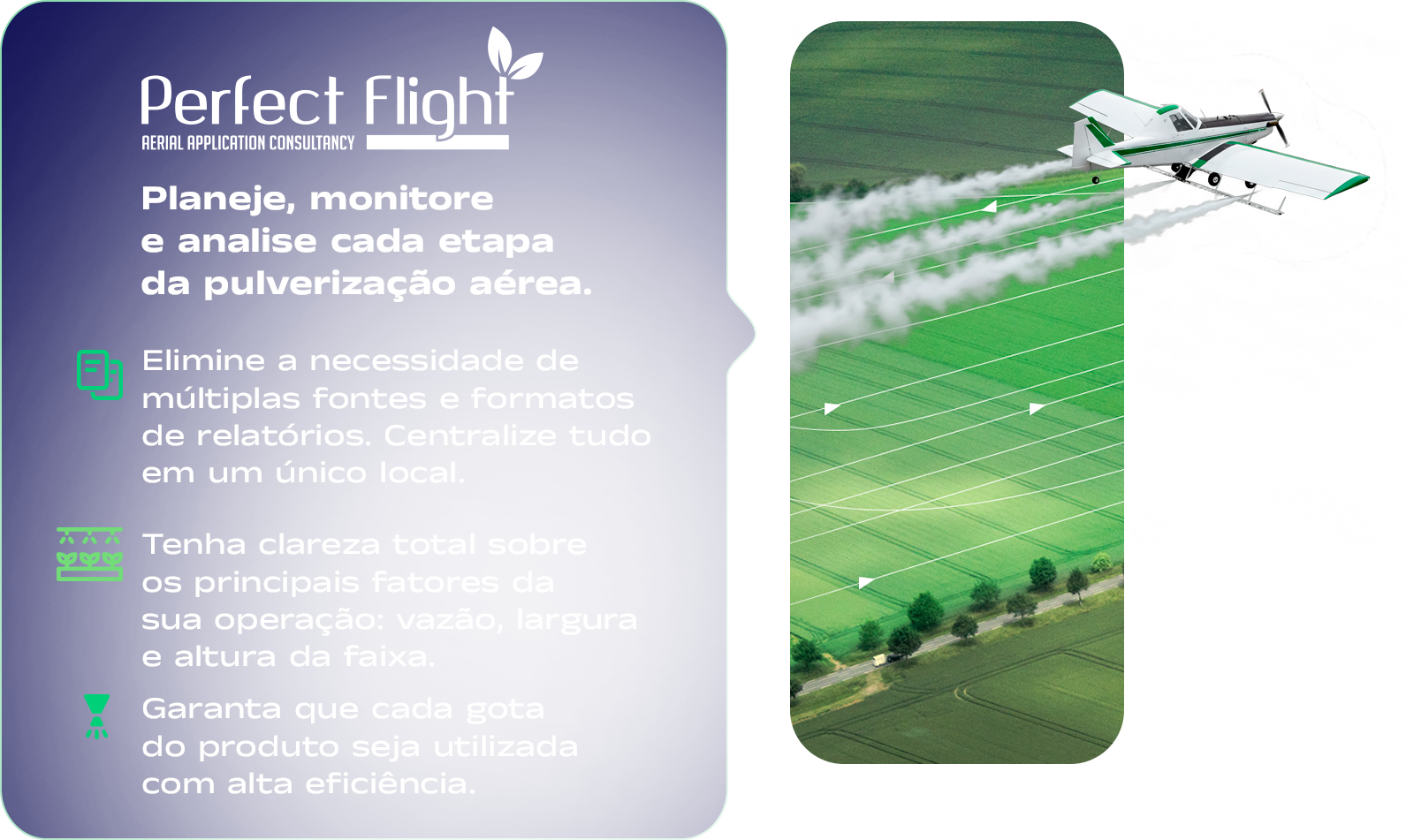 05-PERFECT