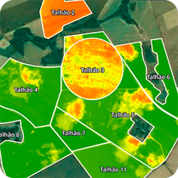 ndvi-1