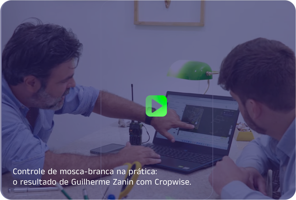 banner leo preview-1